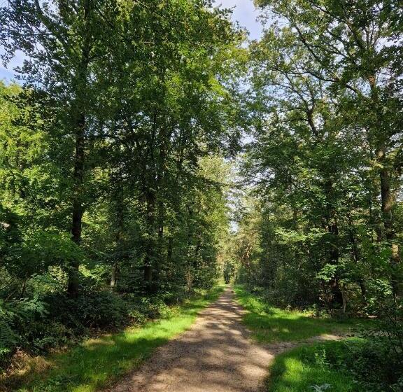 Четырехместный Номер Стандарт Вид на Сад, B&b Nature & U