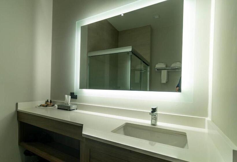 חדר סטנדרט עם מיטת קינג, Holiday Inn Navojoa, An Ihg