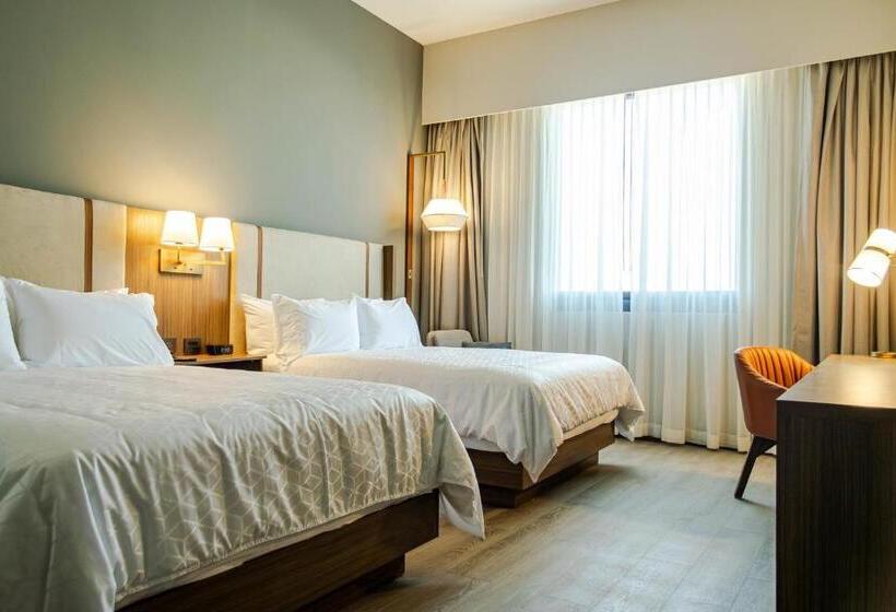 חדר סטנדרט, Holiday Inn Navojoa, An Ihg