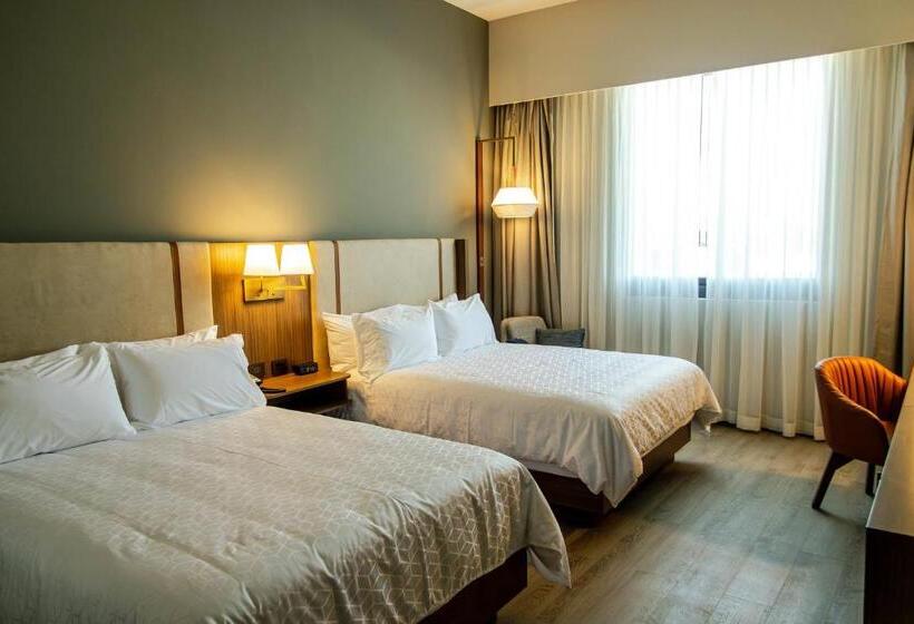 חדר פרמיום, Holiday Inn Navojoa, An Ihg