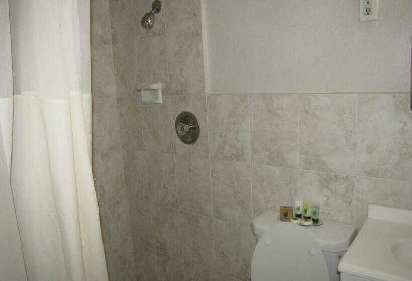 غرفه قياسيه سريرين مزدوجين, A1 Budget Motel