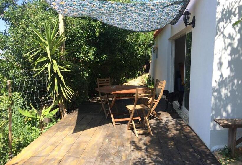 Студио Стандарт Кровать Кинг, Quinta Da Fornalha Santuario Agroecologico