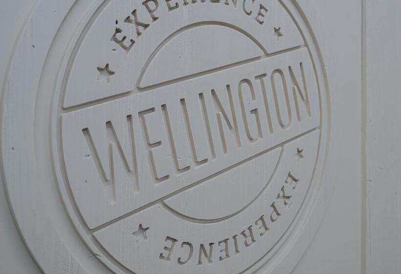 수피리어 룸, Nz Home