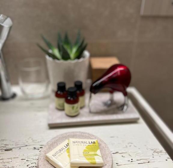 수피리어 룸, Nz Home