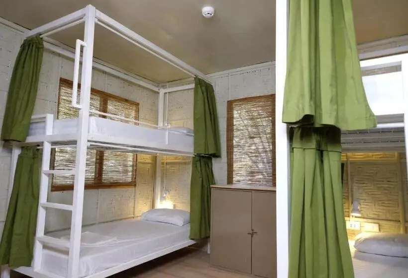 ルームシェアのワンベッド, Mad Monkey Siquijor