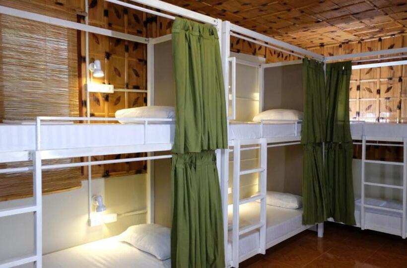Кровать в Общей Комнате, Mad Monkey Siquijor
