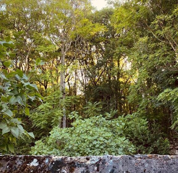 غرفة قياسية مزوَّدة بتراس, Le Domaine Sainte Raffine, Piscine, Charme Et Insolite