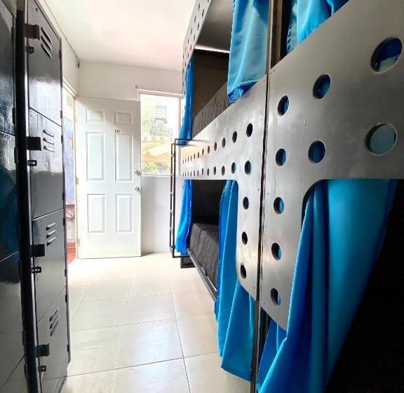 تختخواب در اتاق مشترک, Roomies Hostel Reforma El ángel