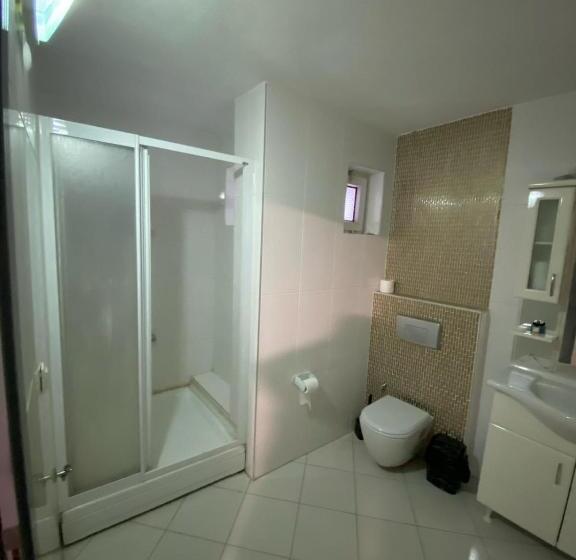 شقة ديلوكس غرفة واحدة, Safir Hotels çorlu