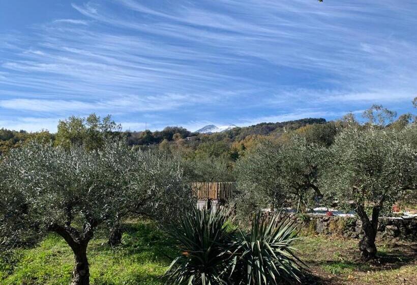 스탠다드 룸 가든 전망, Aprisa Garden