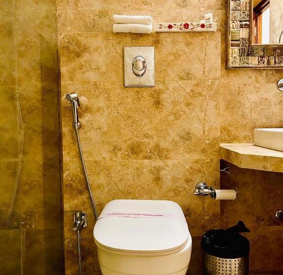 غرفة قياسية, The Trishala Vilas