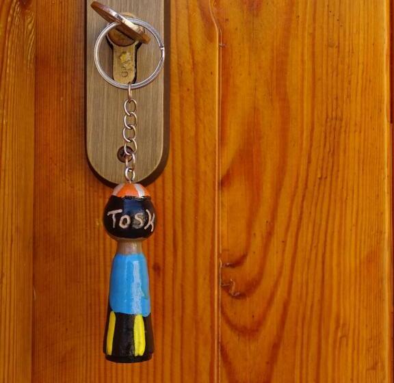 اتاق استاندارد با چشمانداز دریاچه, Ayujidda Nubian House