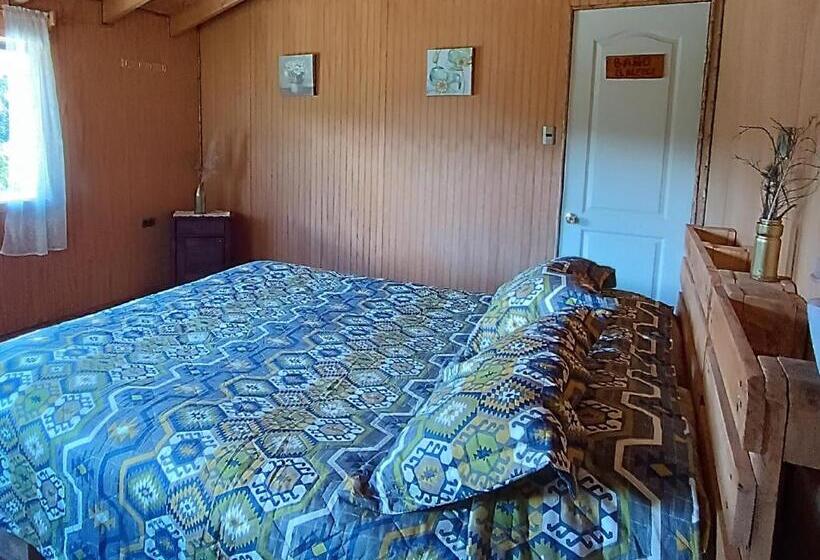 Номер Стандарт, Petrohue Hospedaje Dónde La Nena