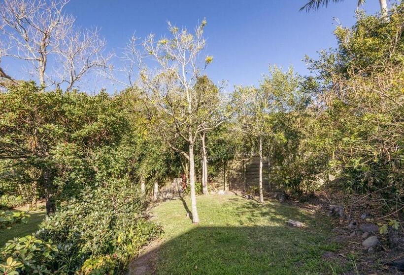 1ベッドルームハウス, Mindi S