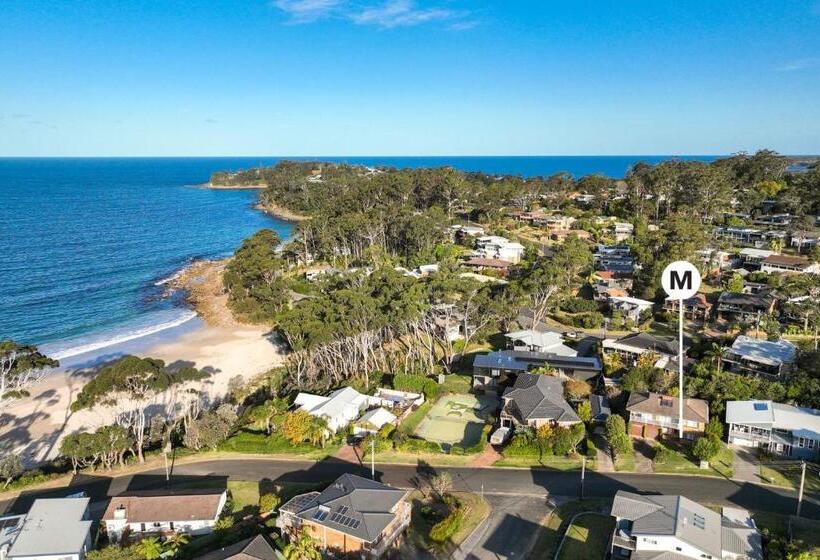 1ベッドルームハウス, Mindi S