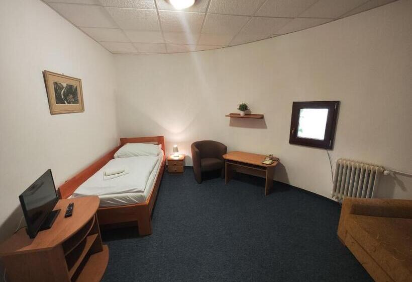 اتاق استاندارد یک نفره, Smolenický Zámok