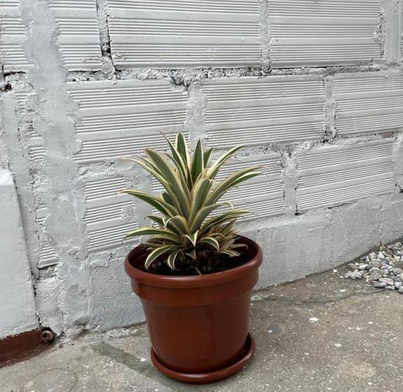 스탠다드 룸 더블 침대 2개, Casa Blanca Hostal