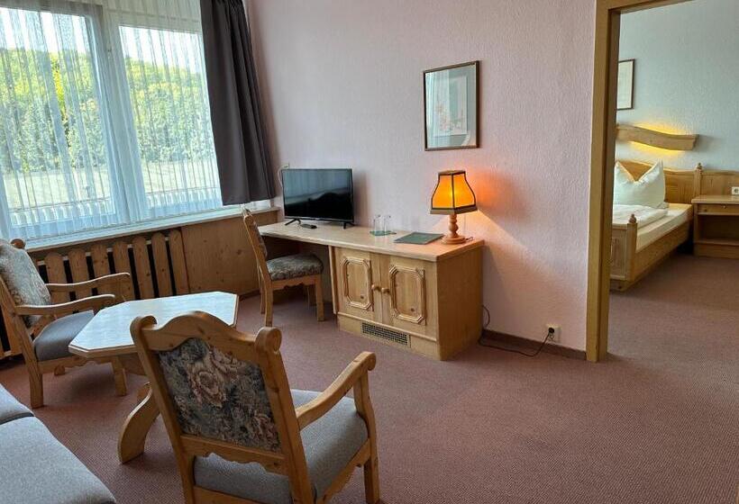 Люкс, Harz Hotel Vogelberg