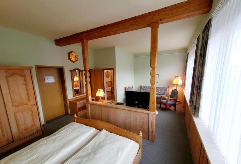 Люкс, Harz Hotel Vogelberg