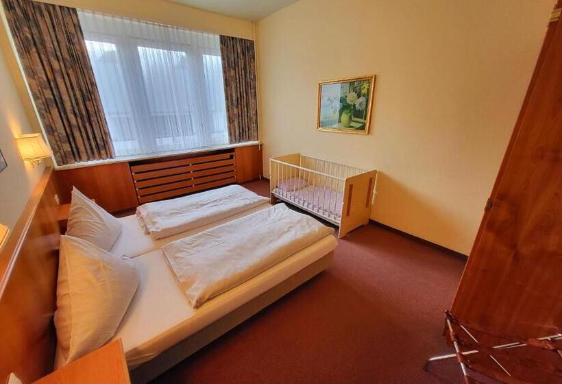 Номер Стандарт, Harz Hotel Vogelberg