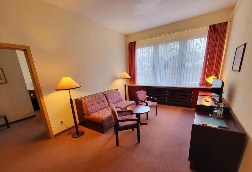 Люкс, Harz Hotel Vogelberg