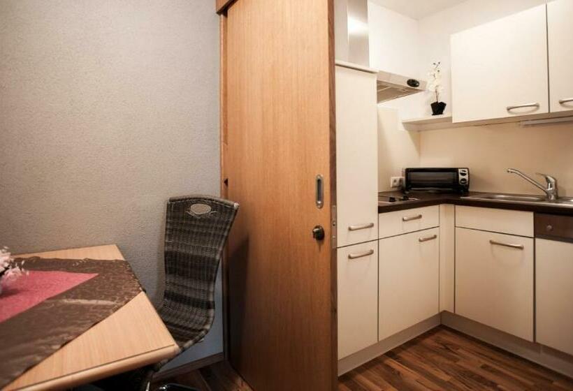 带1个卧室的公寓, Apart Hotel Arno