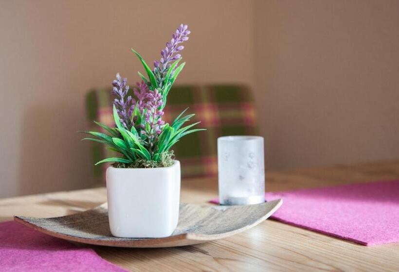 标准工作室, Apart Hotel Arno