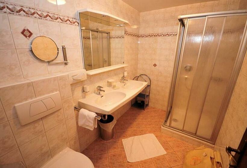 Номер Стандарт Индивидуальный, Apart Hotel Garni Strasser