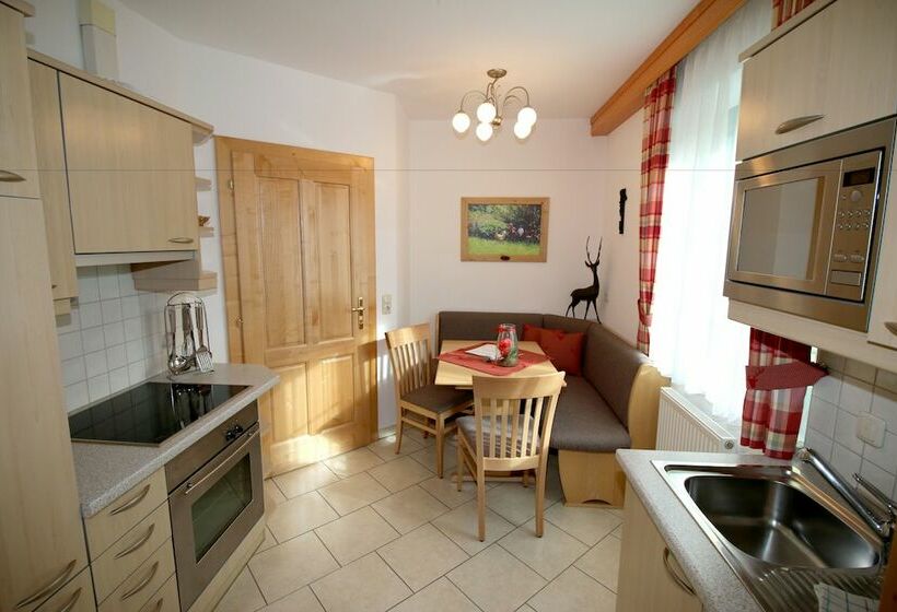 شقة غرفة نوم واحدة مزودة بشُرفة, Appartements Wieshof