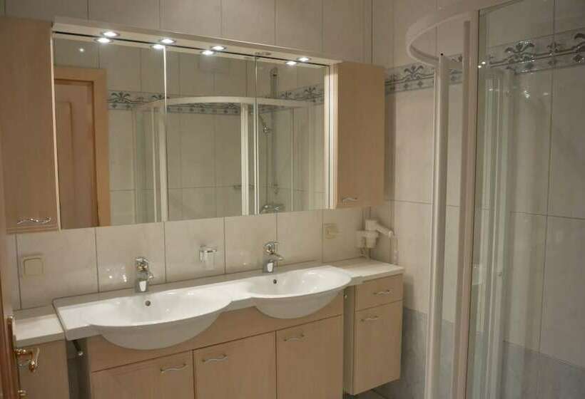 شقة غرفة نوم واحدة مزودة بشُرفة, Appartements Wieshof