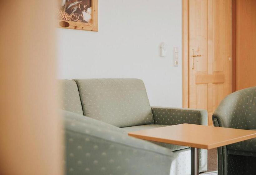 شقة غرفة نوم واحدة مزودة بشُرفة, Appartements Wieshof