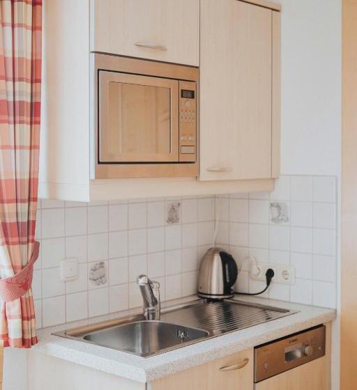 آپارتمان 1 خوابه با بالکن, Appartements Wieshof