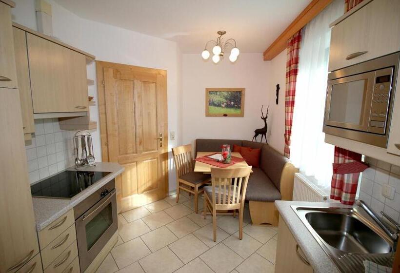 شقة غرفة نوم واحدة مزودة بشُرفة, Appartements Wieshof