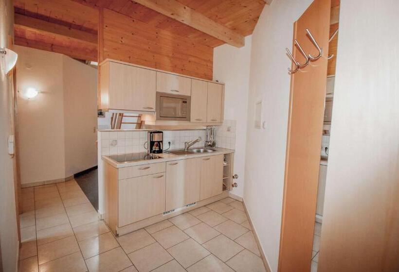 شقة غرفة واحدة, Appartements Wieshof