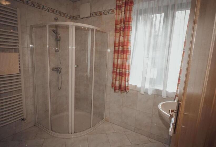 آپارتمان 1 خوابه, Appartements Wieshof