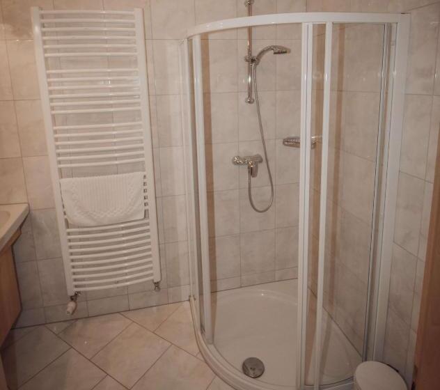 شقة غرفة واحدة, Appartements Wieshof