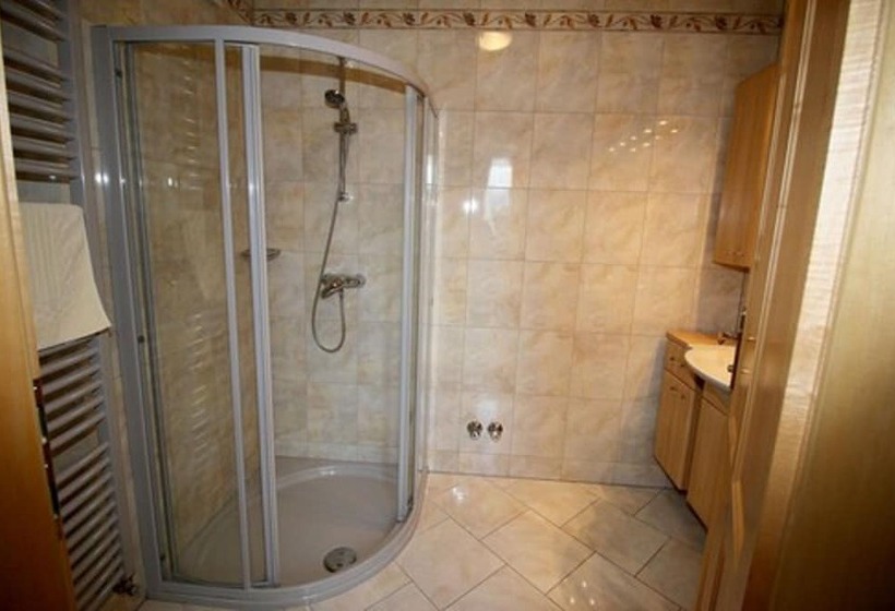 آپارتمان 1 خوابه, Appartements Wieshof