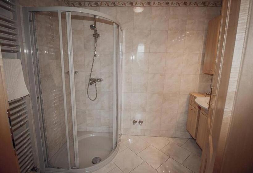 آپارتمان 1 خوابه, Appartements Wieshof