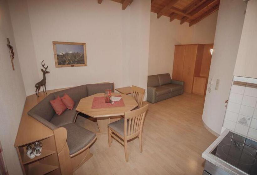 شقة غرفة واحدة, Appartements Wieshof