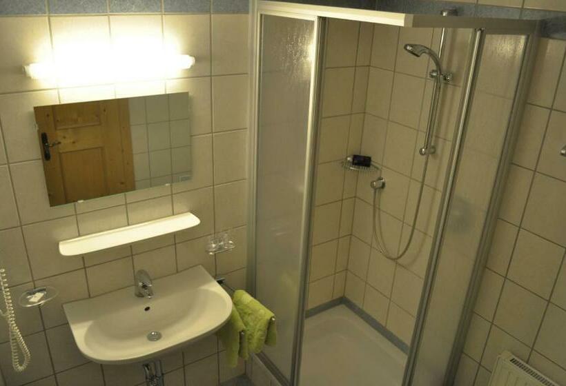 Номер Стандарт Индивидуальный, Garni Bergwelt