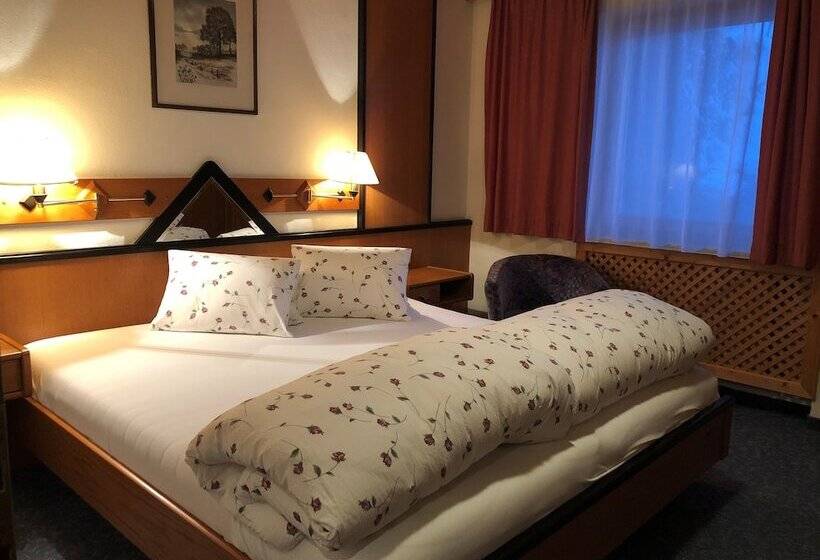 Апартаменты 1 Спальня, Garni Bergwelt