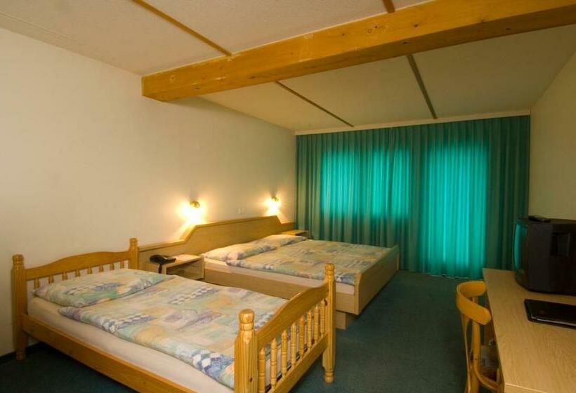 חדר משפחתי, Olympica