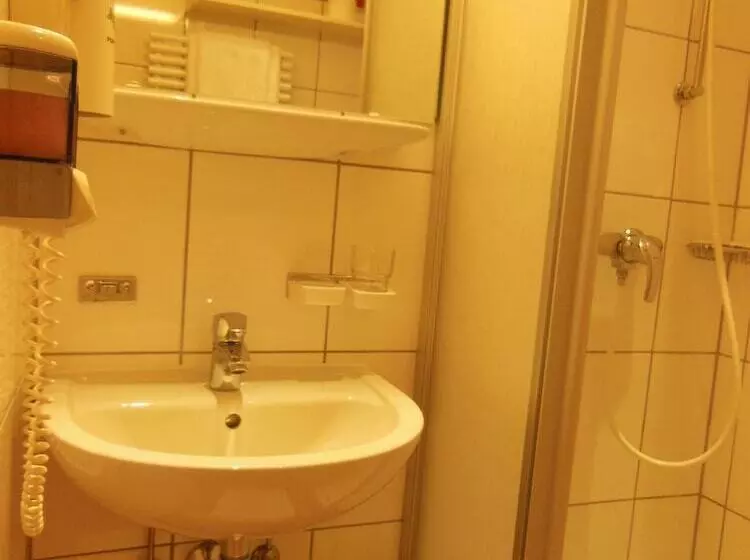 スタンダードシングルルーム, Wohlfühlresort Und Feriengut Martinerhof