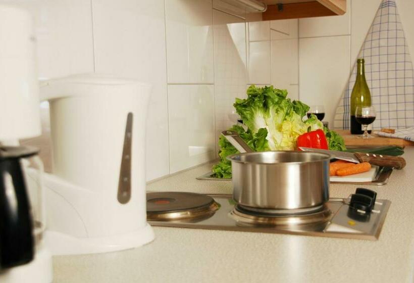 1ベッドルームアパートメント, Pension Faneskla