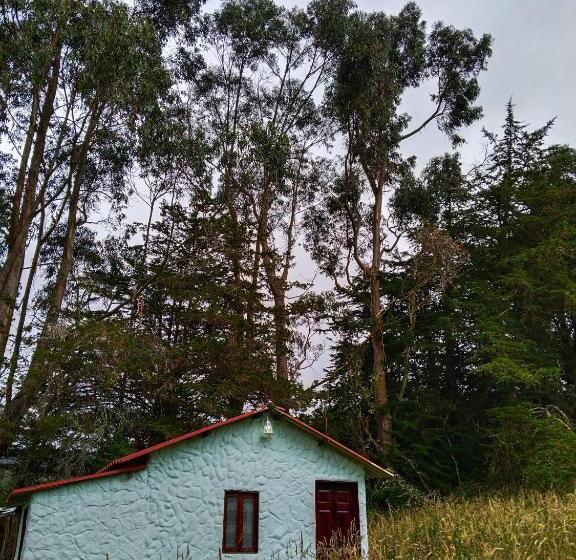 غرفة قياسية, Casa Enverdes