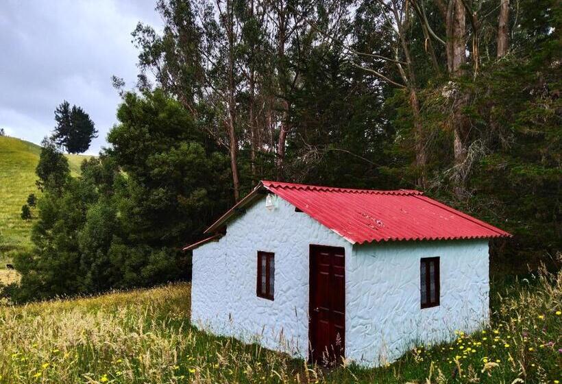 غرفة قياسية, Casa Enverdes