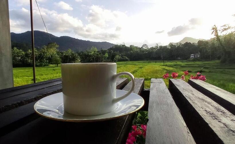 חדר סטנדרט נוף להרים, Rain Forest Star