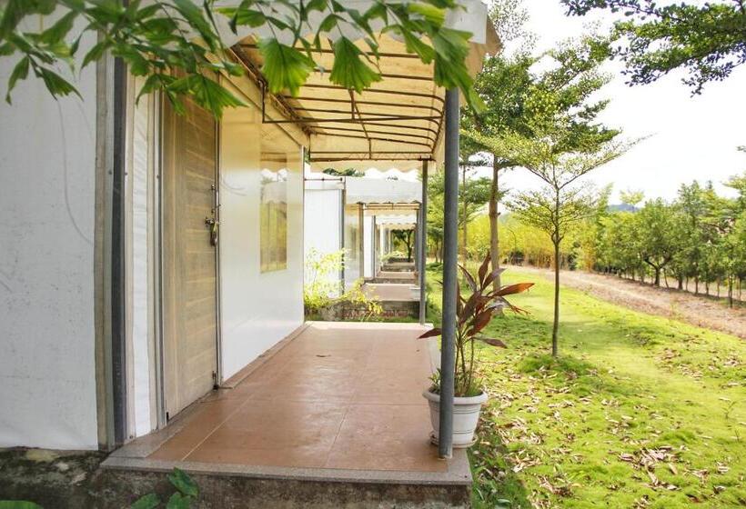 كوخ قياسي, Riverside County Resort