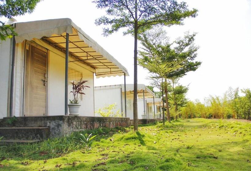 كوخ قياسي, Riverside County Resort