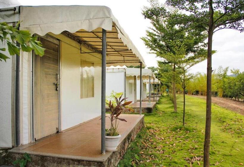 Standard Tent, Riverside County Resort